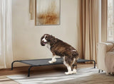 50"D x 31"W x 8"H Dog Bed 38216392