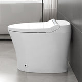 Smart toilet with Built-in Seat, One Piece Elongated Modern Toilet with Adjustable Temp N753P222587W