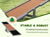Dog Agility Ramp Pet Seesaw 76685612