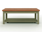 ZUN Bridgevine Home Vineyard 48 inch Coffee Table, No Assembly Required, Sage Green and Fruitwood Finish B108P160214