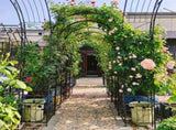 Metal Garden Arch with two plant stands 79.5'' Wide x 86.6'' High Climbing Plants Support Rose Arch W158681135