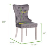 ZUN Simba Stainless Steel 2 Piece Chair Finish with Velvet Fabric in Dark Gray 808857571366
