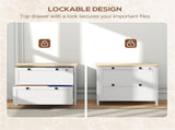 File cabinets, storage cabinets 11586521