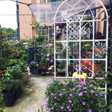 2 Pack Metal Garden Trellis 71" x 19.7" Rustproof Trellis for Climbing Plants Outdoor Flower Support W1586P147428