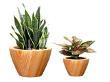 2-Pack 10 in. Light Wood Plastic Self-watering Planter Pot B046P144618