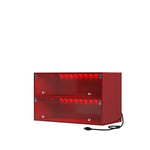 ZUN Red Glass Door Shoe Box Shoe Storage Cabinet For Sneakers With RGB Led Light W1320P183133