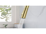 Kitchen Faucet with Pull Down Sprayer W2287P152910