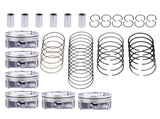 6x Pistons & Rings Set STD For VW Porsche Audi S4 B9 S5 A6 A7 Q7 3.0 TFSI EA839 63845099