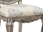 ZUN ACME Ariadne Arm Chair , Velvet & Antique Plantinum Finish DN02283