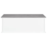 White and Weathered Grey 3-Drawer Storage B062P153583