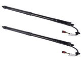 2PCS Rear LH / RH Trunk Power Lift Support Fit for Nissan Pathfinder Platinum Hybrid S SL SL Hybrid 66489866
