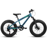 V20235 20 Inch Fat Tire Bike Adult 7 Speed Mountain Bike, Dual Disc Brakes, High Carbon Steel Frame, W709P285166