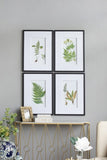 Set of 4 Botanical Black And White Fern Wall Art , Wall Decor for Living Room Dining Room Entryway, W2078130254