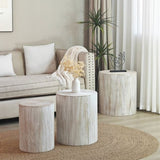 ZUN Set of 3 Whitewash Wood Coffee Table with clear and visible tree rings W2729P209831