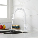 Kitchen Faucet with Pull Out Spraye 61000236