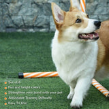 Dog agility training equipment 67593441