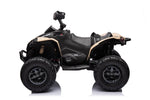 ZUN Kids ATV 24V, Licensed BRP Can-am Two Seater Ride on Cars for Kids w/ 4x200W Powerful Motor, W2058P211232