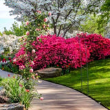 7'8" H x 4'5" W Metal Garden Arch Trellis,Adjustable Arbor Trellis for Garden Climbing Plants 55496277