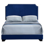 Blue Queen Panel Bed with Scooped Headboard B062P181282