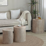 ZUN Set of 3 Nautral Wood Coffee Table with clear and visible tree rings W2729P199132