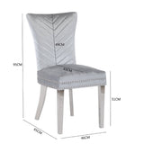 Eva 2 Piece Stainless Steel Legs Chair Finish with Velvet Fabric in Silver 733569295678