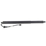 Fits for Hyundai Palisade 3.8L 2020-2022 Driver Left Trunk Lift Strut Shock 81831-S8100 38785499