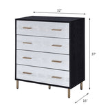 ZUN Black and Silver 4-Drawer Chest B062P209044