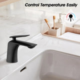 Single Hole Bathroom Sink Faucet with Pop Up Drain and Water Supply Hose, Single Handle Bathroom W1224P227850
