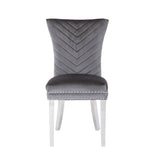 Eva 2 Piece Stainless Steel Legs Chair Finish with Velvet Fabric in Gray 733569236183