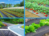 XISHAN 8'X300' Black HDPE 70 Gram Weed Barrier Fabric 70574124