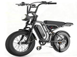 20" Fat Tire Electric Bike for Adults, 750W PK 1500W Peak Motor Ebike, All-Terrain Electric Dirt E W6569P578049