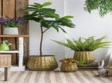 Set of 3 Metal Planter Distressed, L12x12x14" M9x9x11.5" S6.3x6.3x8.7" W2078P499531