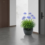 3 Pieces Ceramic Flowerpot, Modern Planter for Patio, Garden or Windowsills - Antique Blue Green W3273P321543