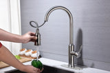 Kitchen Faucet with Pull Down Sprayer W2287P321790