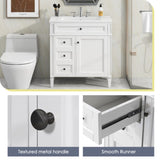 30'' Bathroom Vanity with Top Sink, Modern Bathroom Storage Cabinet with 2 Drawers and a Tip-out N710P206904Z
