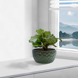 3 Pieces Ceramic Flowerpot, Modern Planter for Patio, Garden or Windowsills - Antique Green W3273P321525