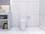 Elongated One Piece Toilet White W2826P192007