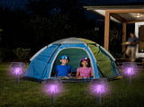 Outdoor Solar Bug Elimination Torches UV Light & White Light, 532 V Grid, IPX 73712379