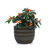 Set of 4 Fluted Ceramic Flowerpot, Modern Planter for Patio, Garden, Windowsill - Dark Coffee W3273P321575