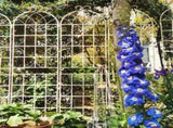 2 Pack Metal Garden Trellis 86.7" x 19.7" Rustproof Trellis for Climbing Plants Outdoor Flower 30907319