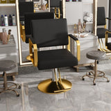 Hydraulic Salon Chair - 360&deg Swivel Barber Stylist Chair with Pump, Non-Tilting Hairdressing Chair W2700P318173