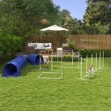 Dog agility training equipment 13239224