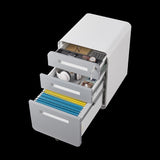 3 Drawer Mobile File Cabinet Under Desk Office,Simple Style Versatile Storage Cabinet for W1247P145909