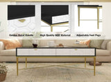 Modern Black and White Coffee Table with 2 Drawers, Living Room Storage Table T3609P347453