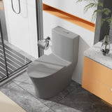 Matte Grey Elongated One Piece Toilet Dual Flush 1.1/1.6 GPF Water Saving Comfort Seat Height, Map W2826P192008