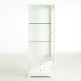 71'' Tall Display Cabinet with Single Upholstered Glass Door, China Cabinet, Wine Cabinet with 5 N845P277577W