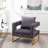 ZUN Lenola Contemporary Upholstered Accent Arm Chair, Gray T2574P164511