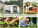 Mini Walk-in Greenhouse 56503856