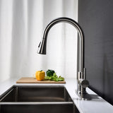 Kitchen Faucet with Pull Out Spraye W2287P183089