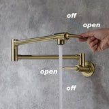 Pot Filler Faucet Wall Mount 57602271